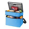 Cooler Bags - category