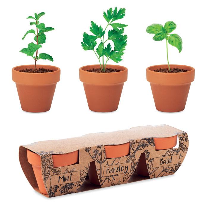 Set of terracotta pots PONEMAH with herb seeds - wooden