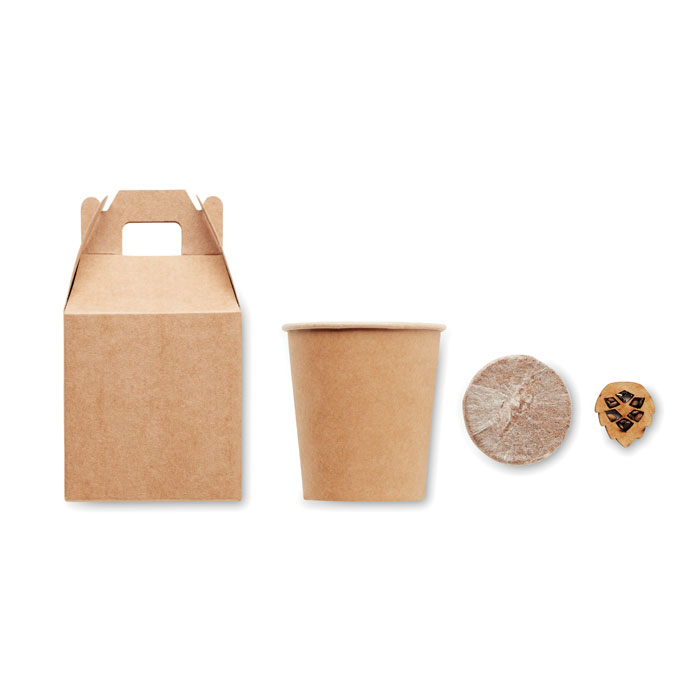 Sada pro vypěstování borovice PINETREE - béžová