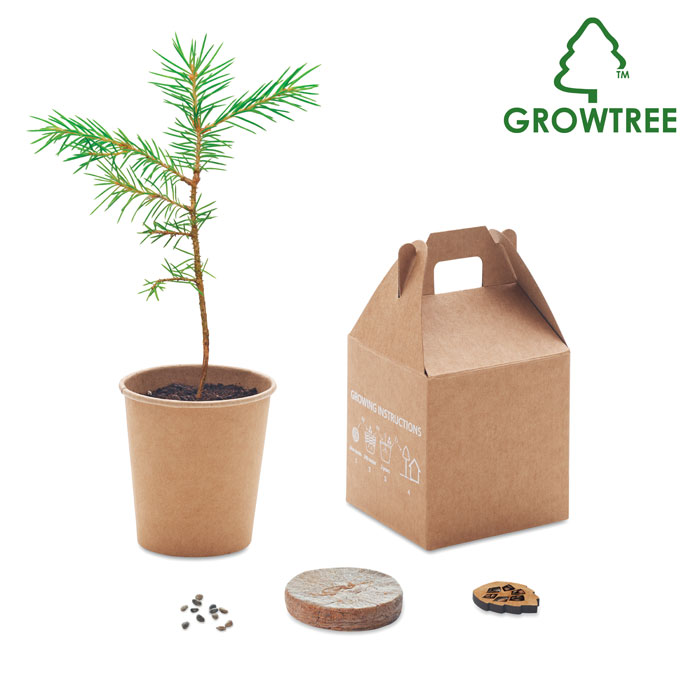 Pine growing kit PINETREE - beige