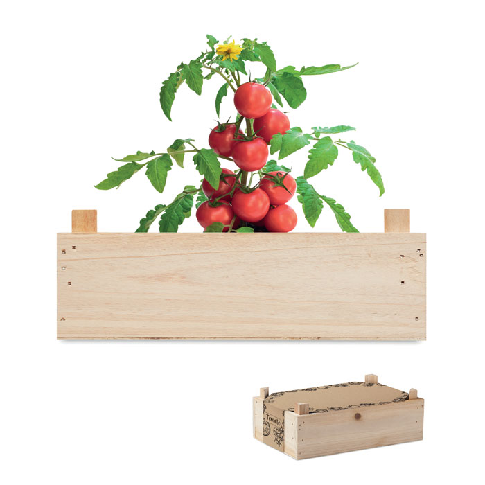 Tomato growing kit TAKKAL in Wooden container - wooden