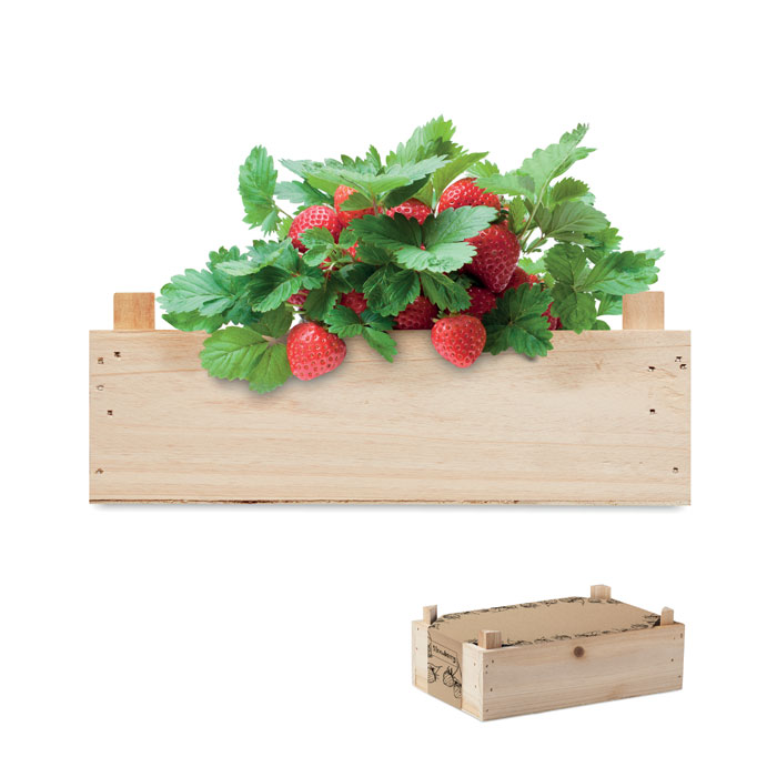Strawberry growing kit JORDGUB in Wooden container - wooden