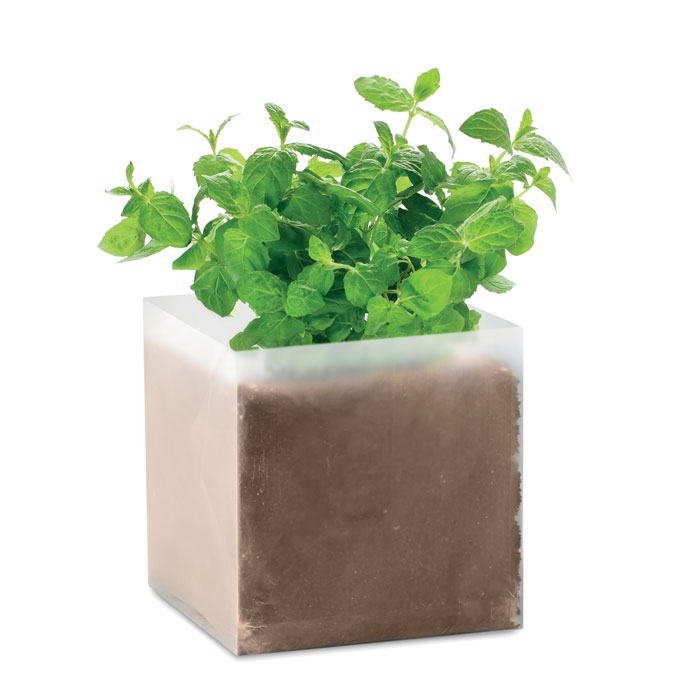 Herb growing set CUBEB with mint seeds - beige