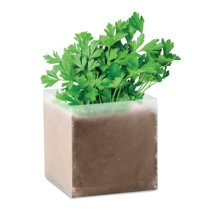Herb growing set DATA with parsley seeds - beige