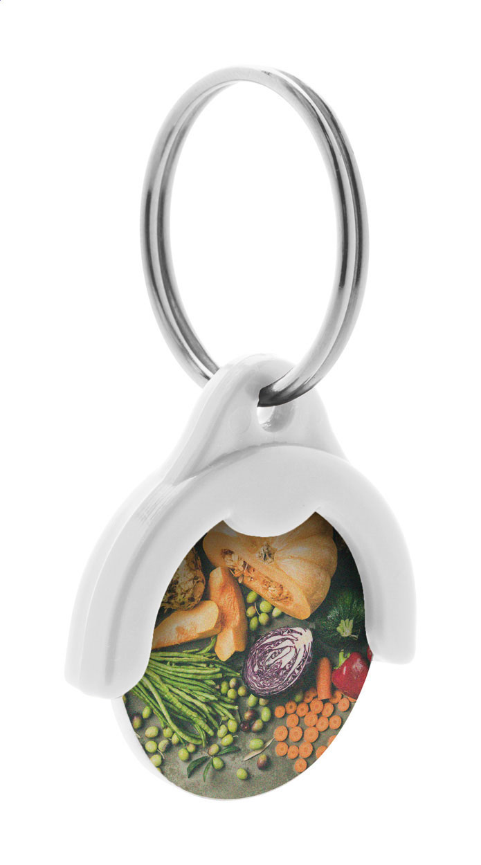 Plastový přívěsek na klíče TOKEN s žetonem do nákupních košíků