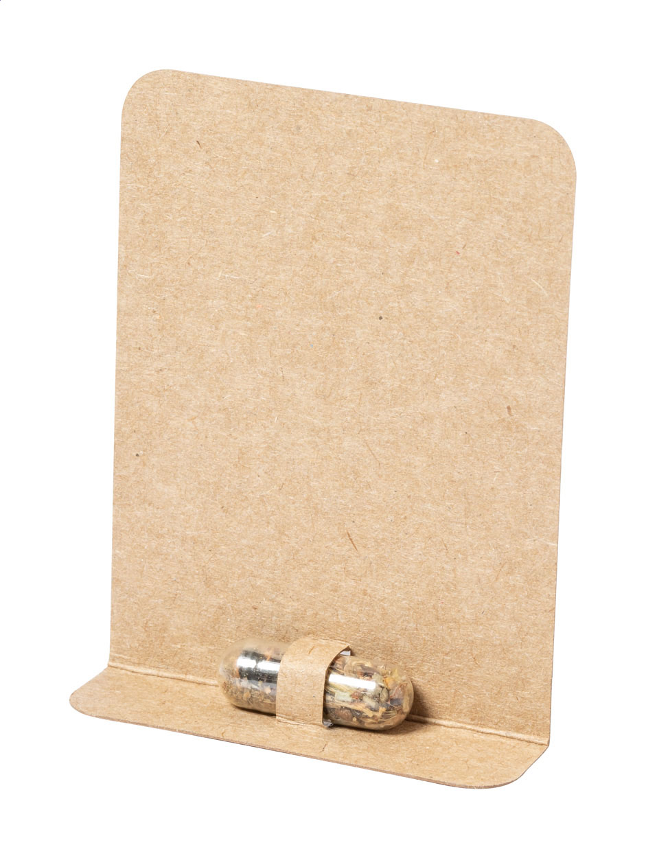 Flocca kapsle se semínky květin Přírodní