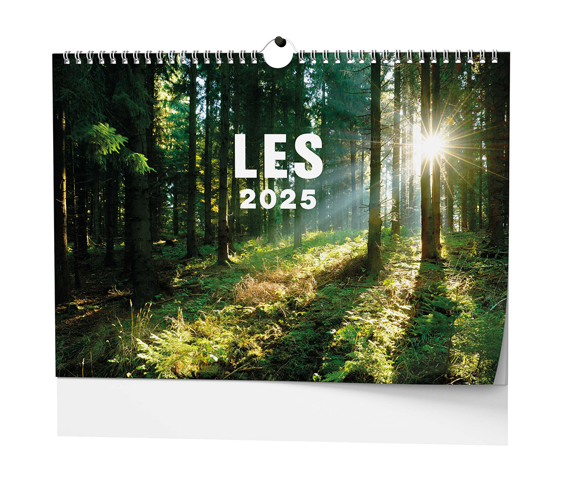 Nástěnný kalendář Les 2025