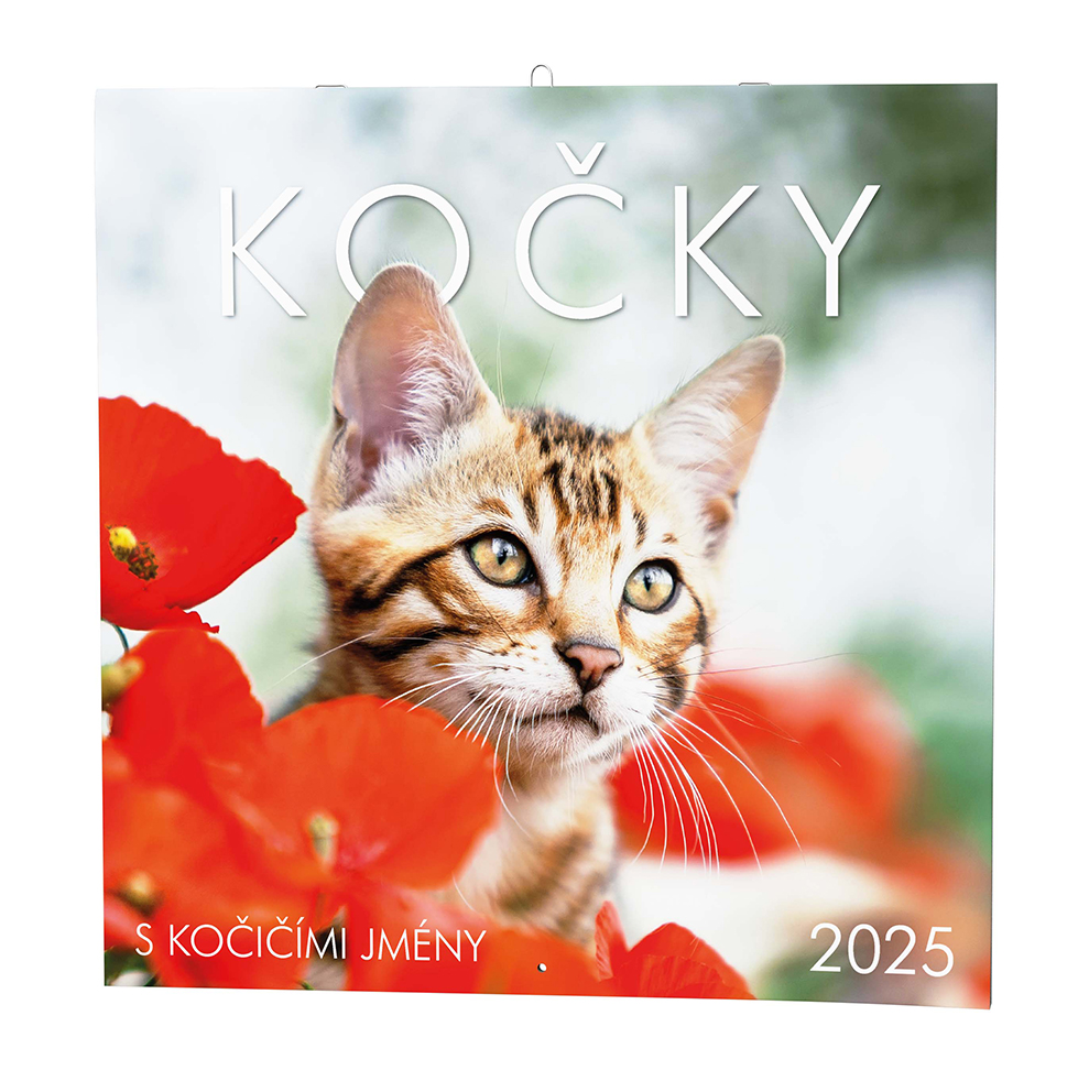 Nástěnný kalendář Kočky 2025