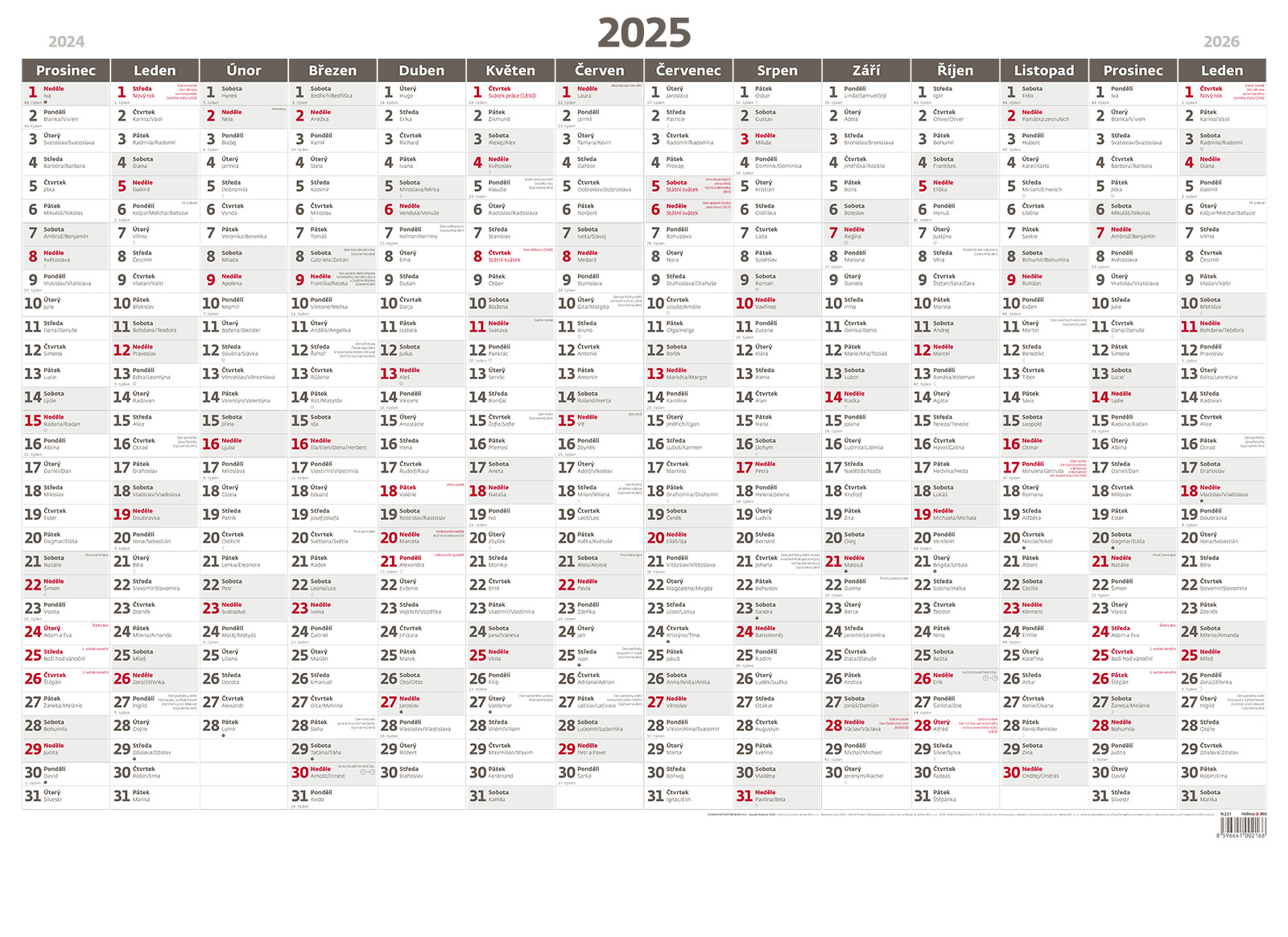 Nástěnná roční plánovací mapa 2025, A1 - bezobrázková