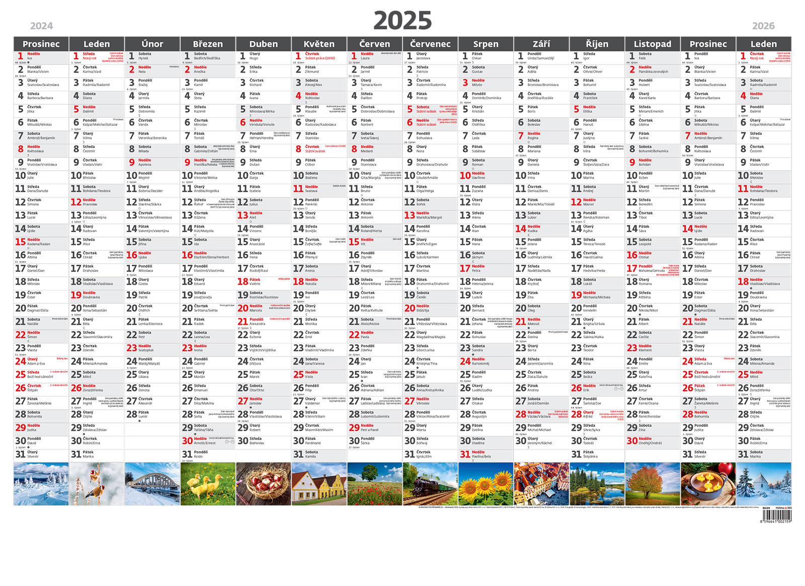 Nástěnný roční plánovací mapa 2025, A1 - obrázková