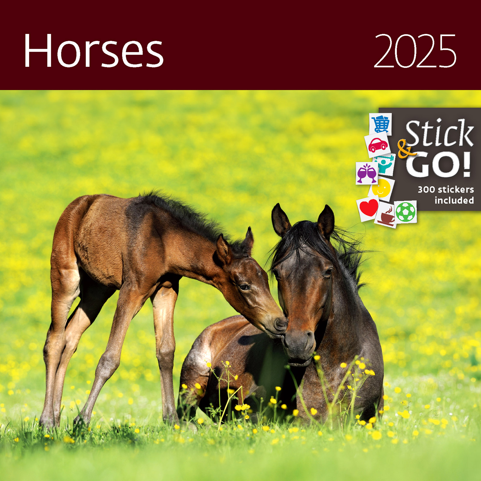 Nástěnný kalendář Horses 2025