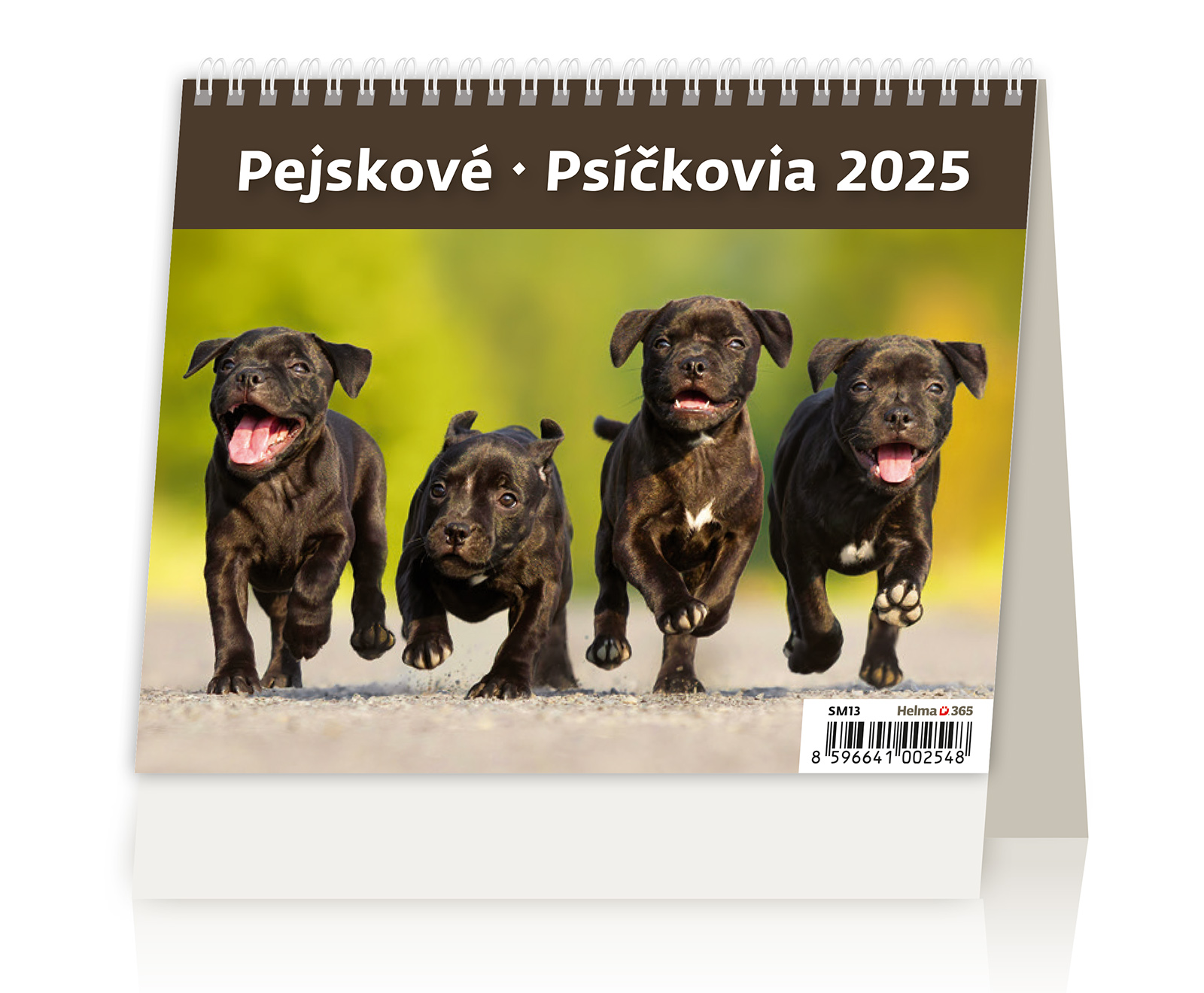 Stolní kalendář Pejskové 2025 - MiniMax