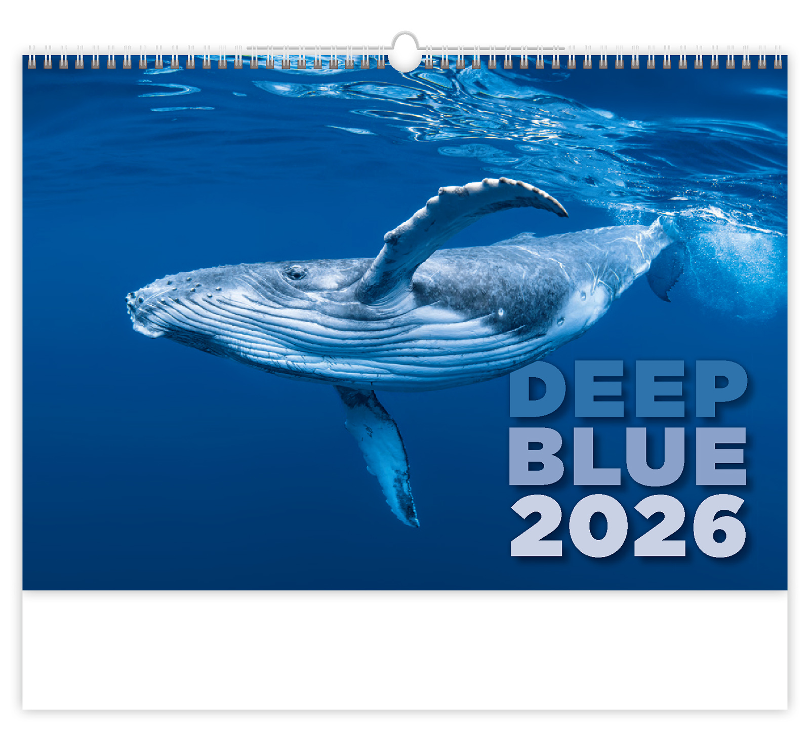 Nástěnný kalendář Deep Blue 2026 Nástěnný kalendář Deep Blue 2026