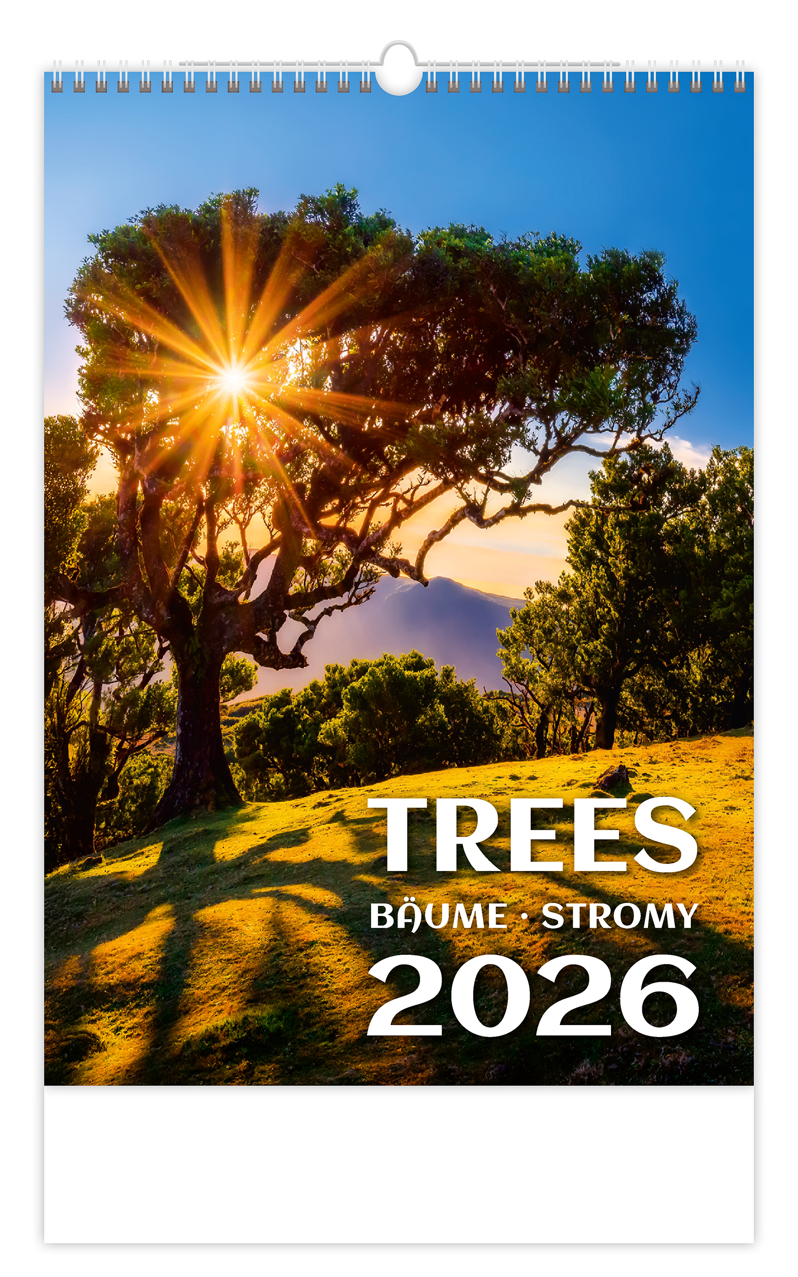 Nástěnný kalendář Stromy 2026