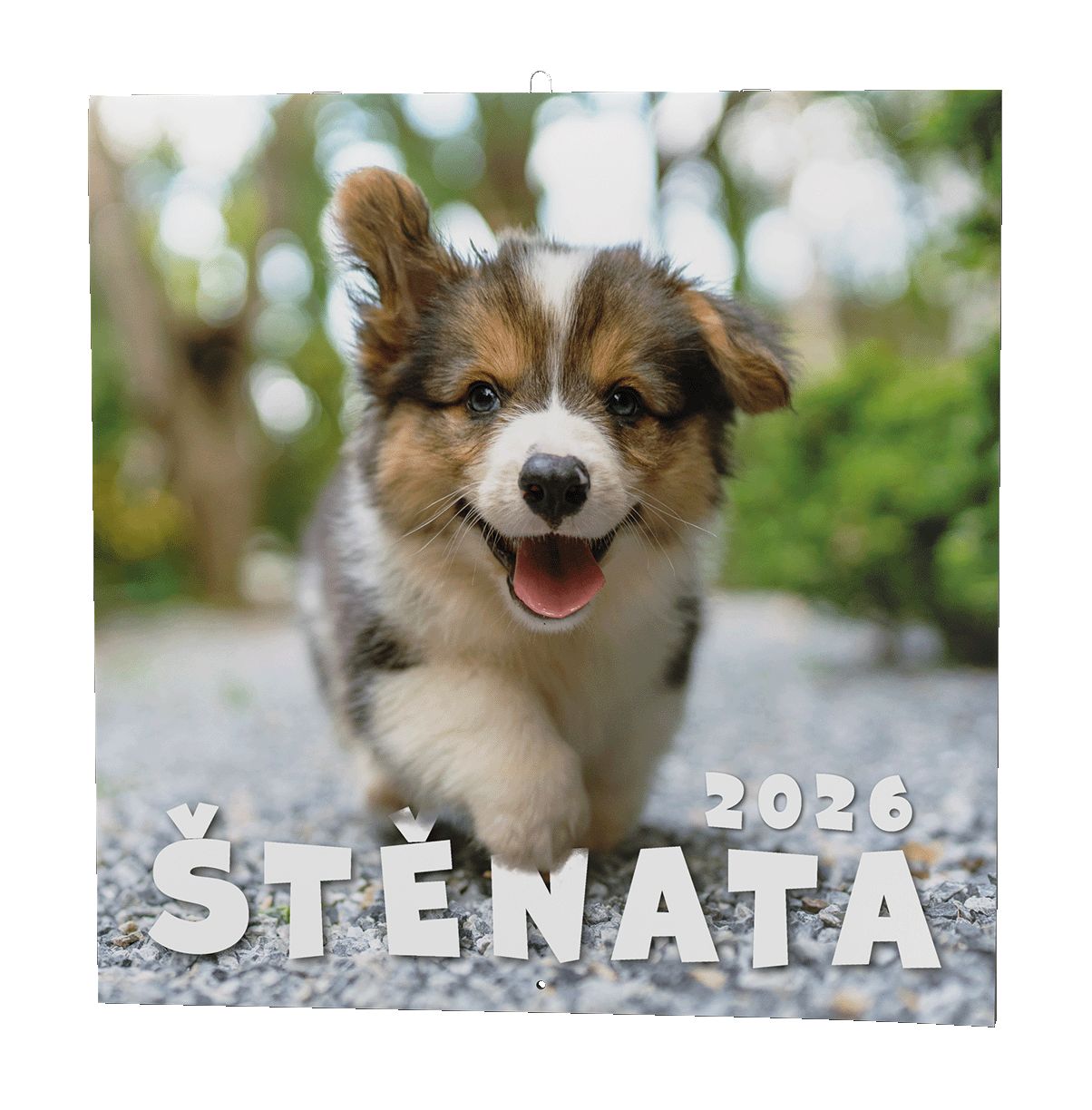Nástěnný kalendář Štěňata
