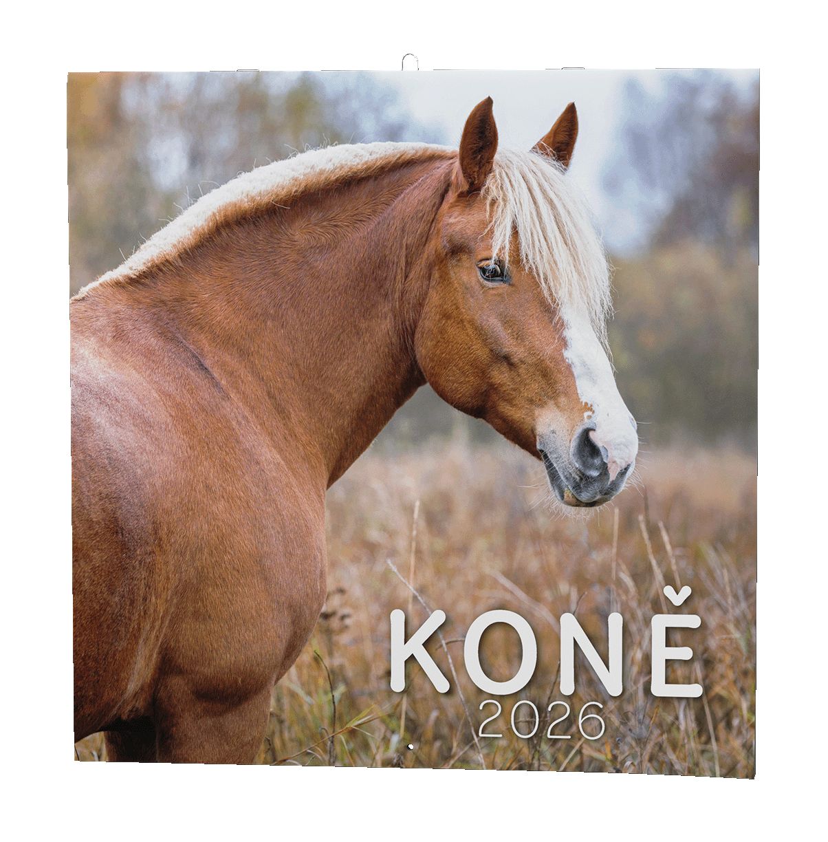 Nástěnný kalendář Koně