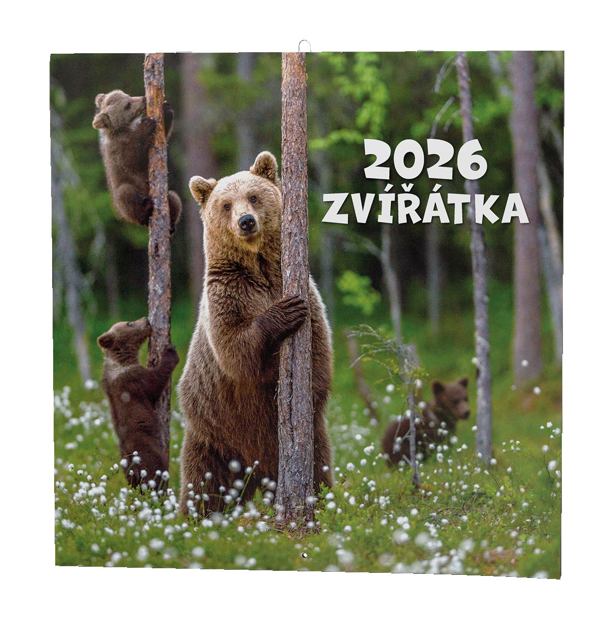 Nástěnný kalendář Zvířátka