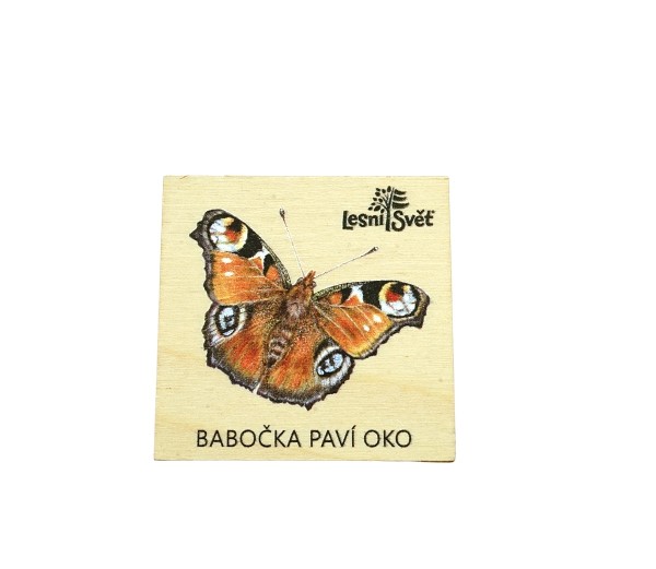 Magnet malý s vlastním motivem