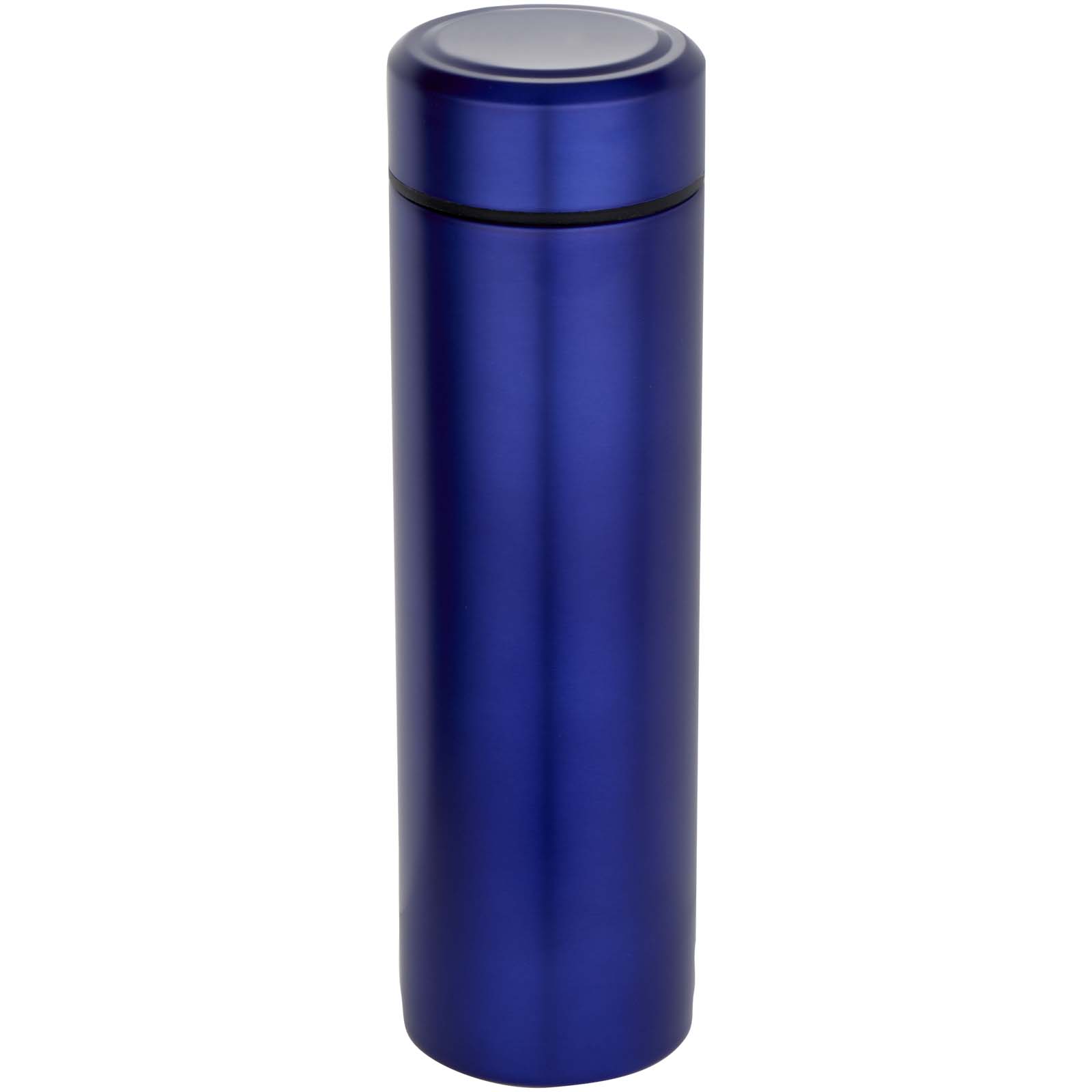 Dvoustěnná nerezová termolahev Taylor s čajovým sítkem, 450 ml