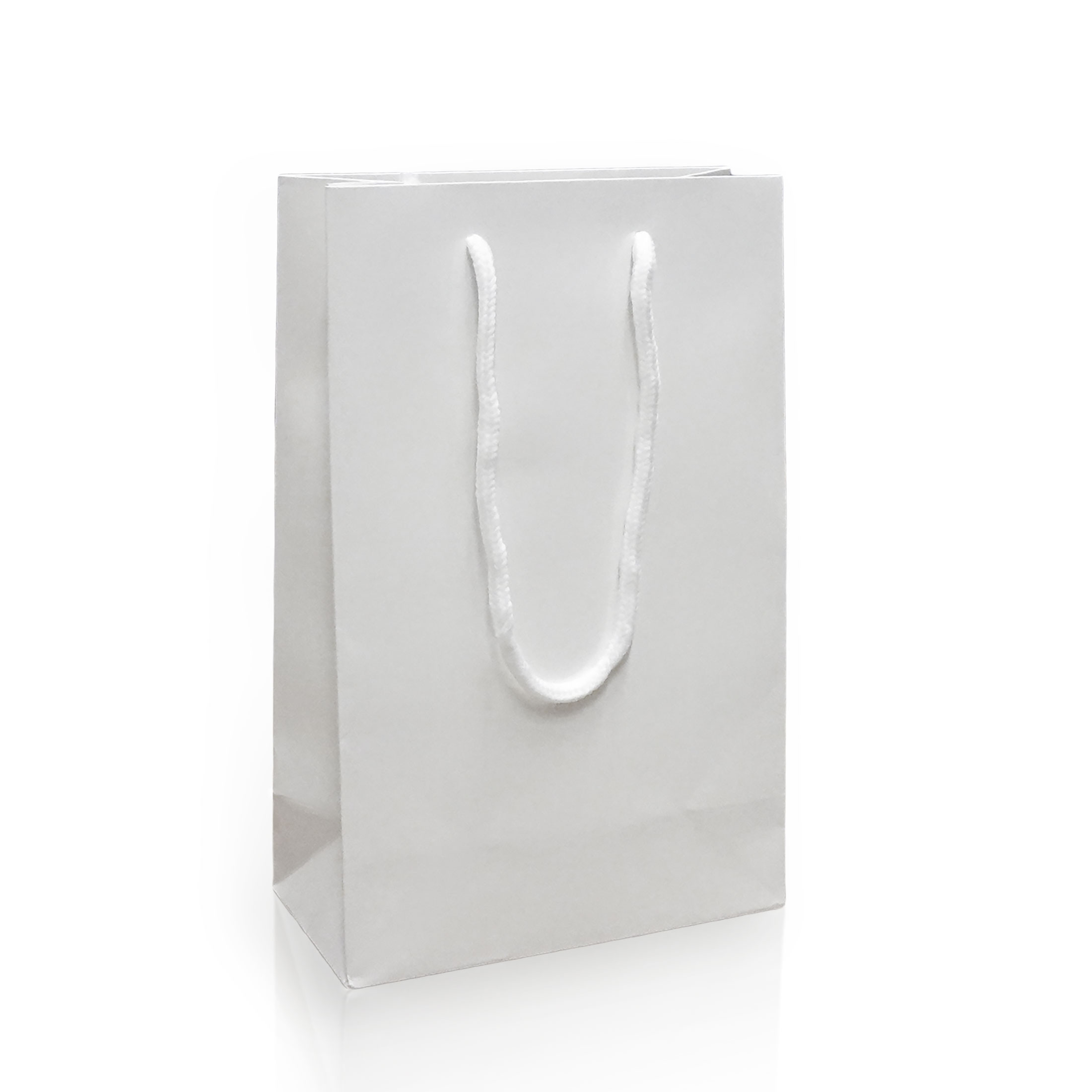 Papírová taška ALBA lesk