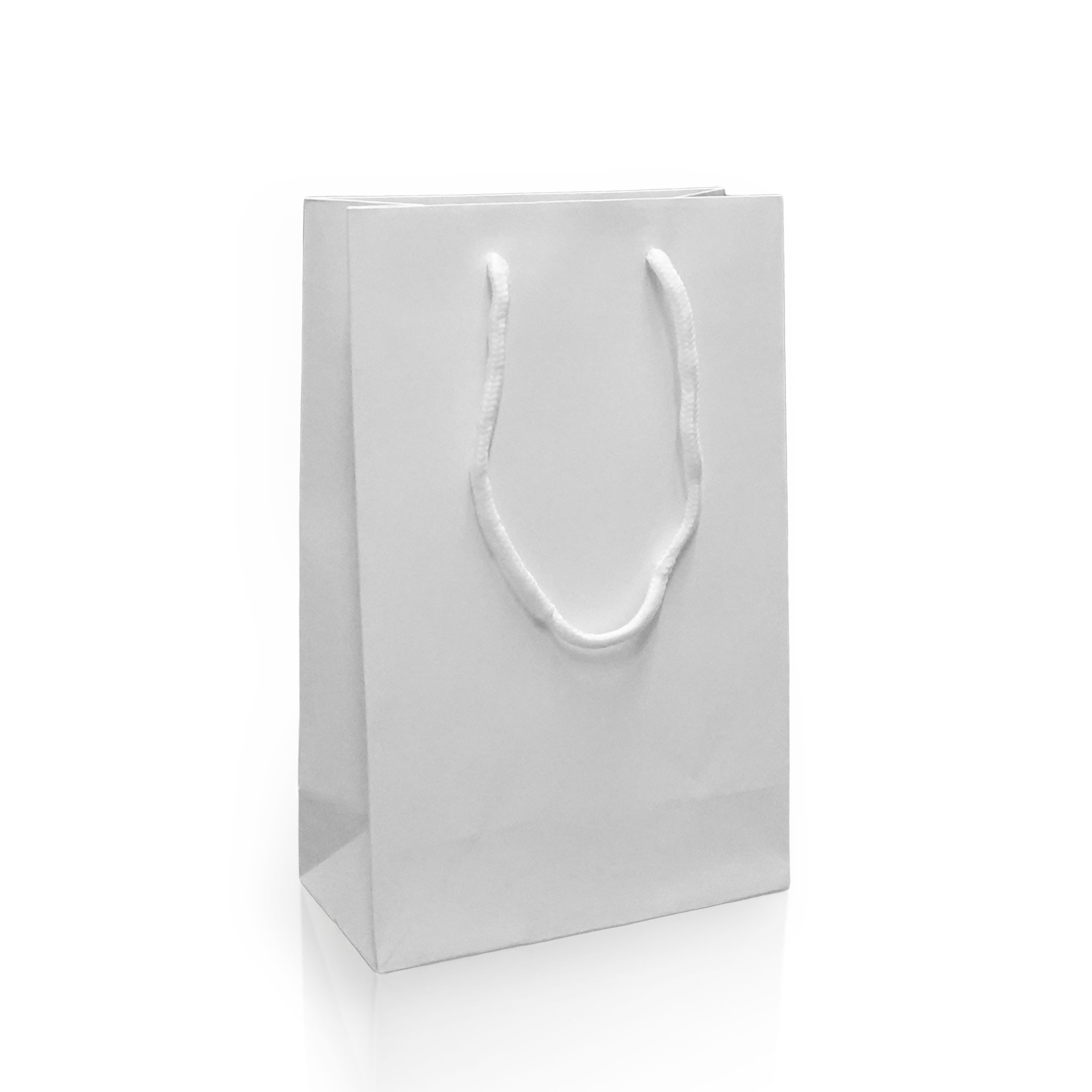 Papírová taška ALBA mat