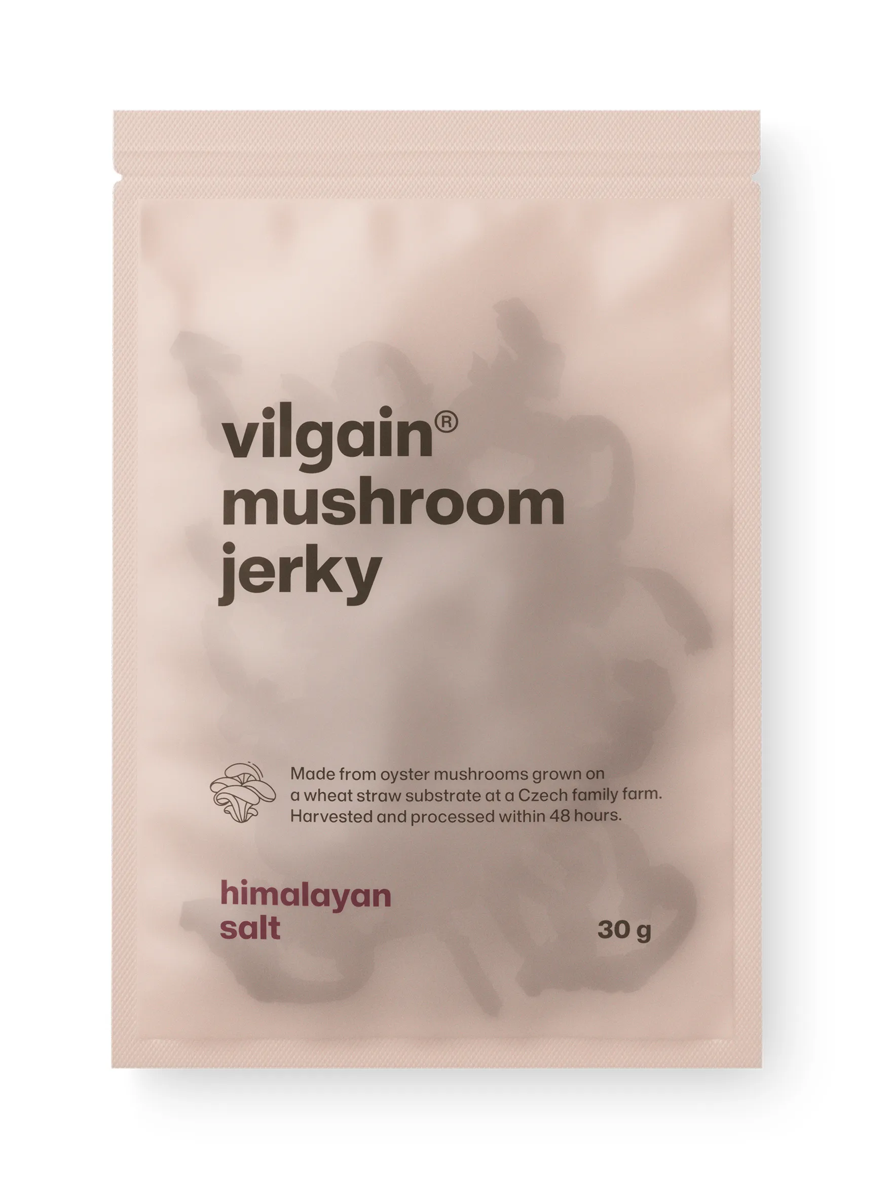 Vilgain Houbové jerky Himalájská sůl 30 g