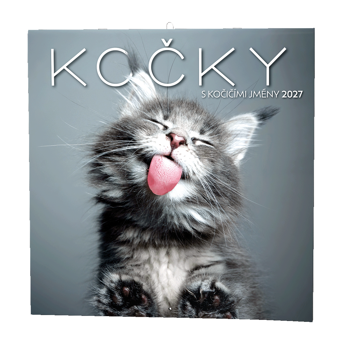 Nástěnný kalendář Kočky                                     