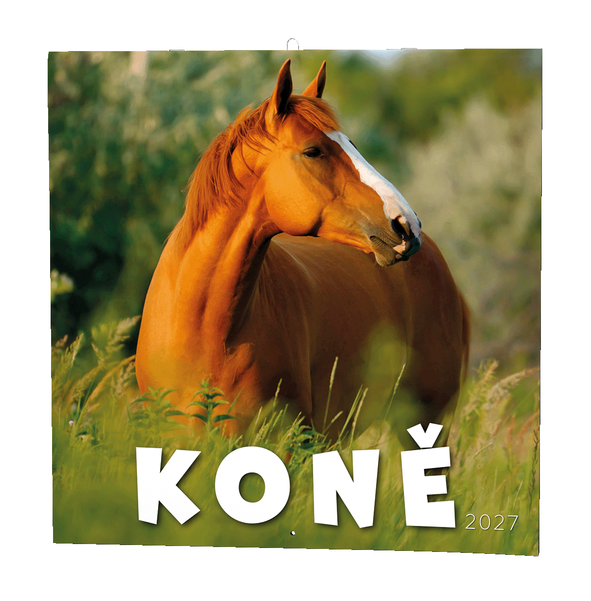 Nástěnný kalendář Koně                                      