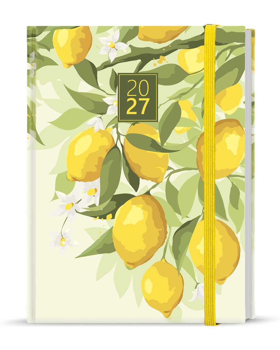 Denní diář Adam Lamino 2027, B6 - citron