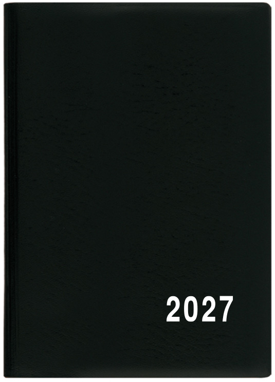 Měsíční diář Anežka PVC 2027 - černá