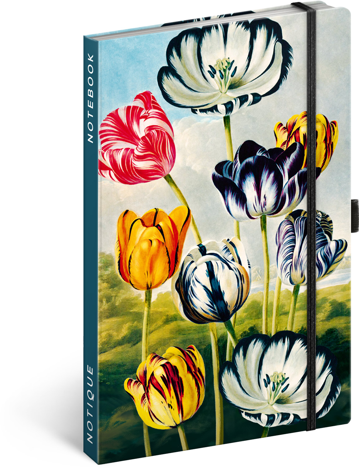 Linkovaný notes Tulipány Kateřiny Winterové, 13x21 cm