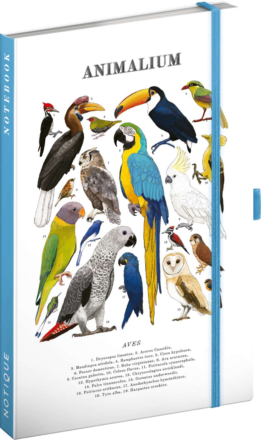 Linkovaný notes Animalium – Ptáci, 13x21 cm