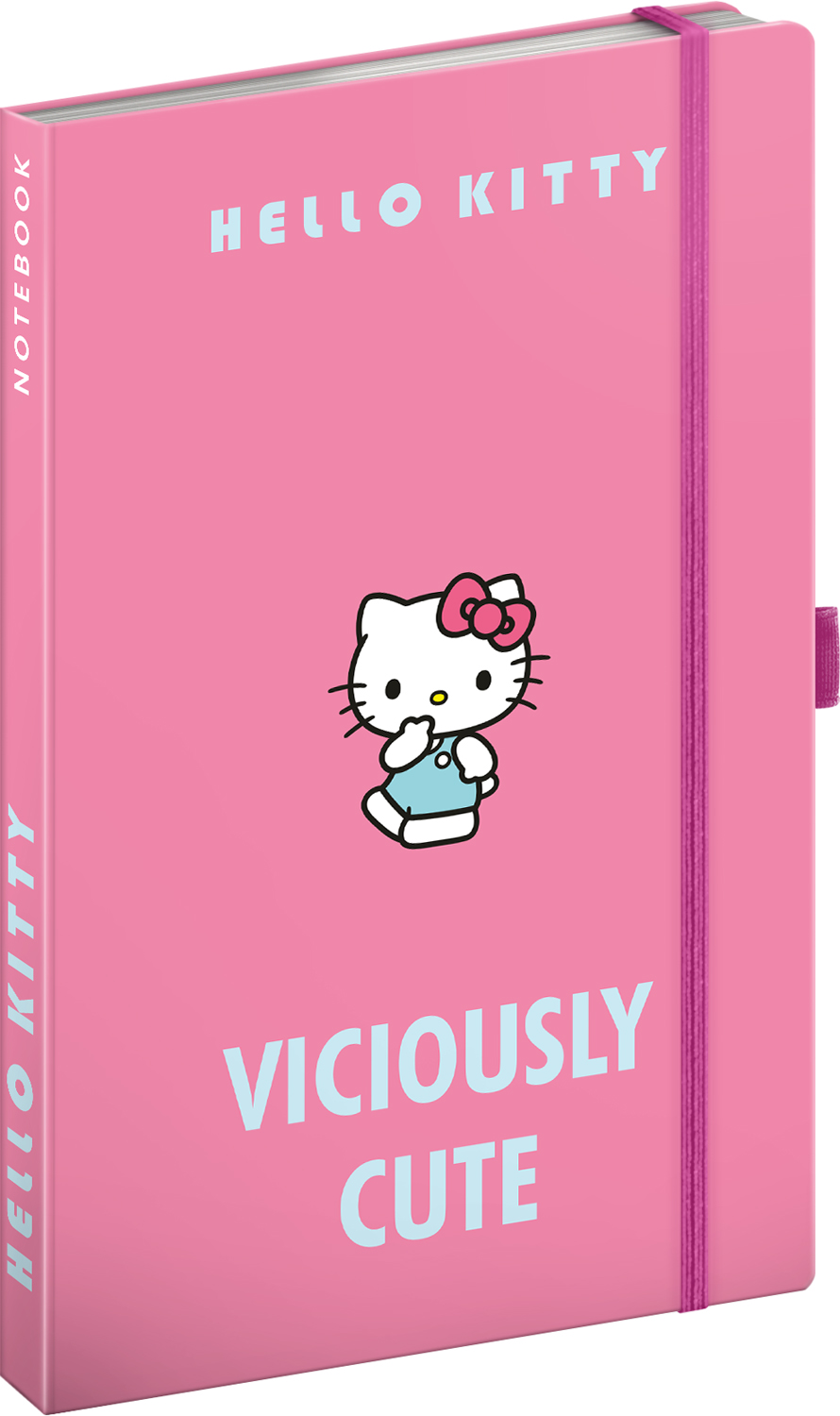 Linkovaný notes Hello Kitty, 13x21 cm
