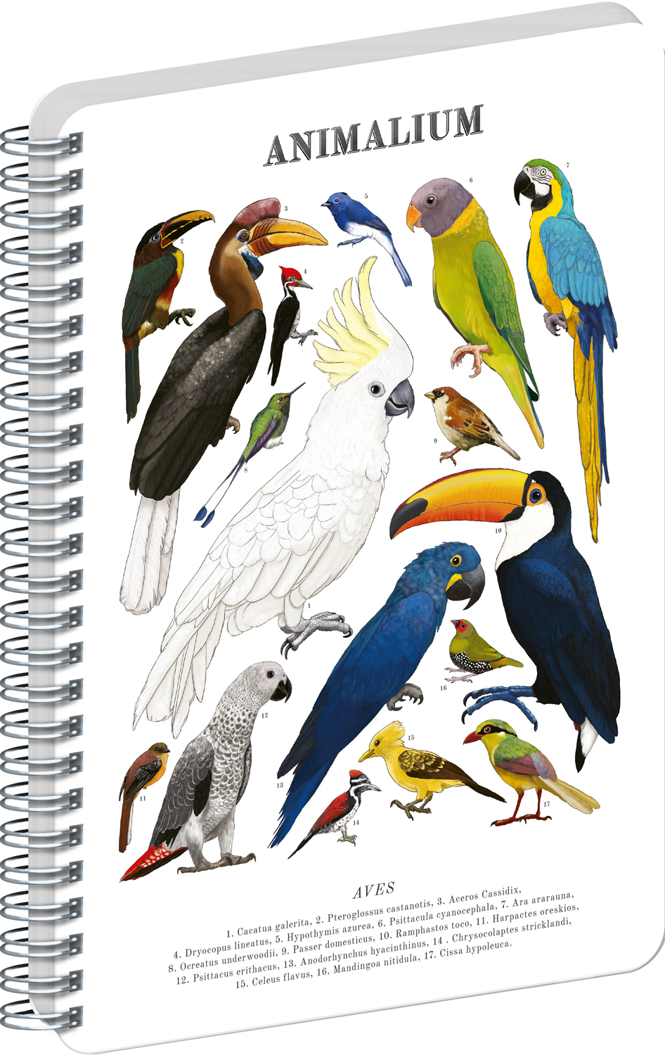 Čistý spirálový blok Animalium – Ptáci, A5