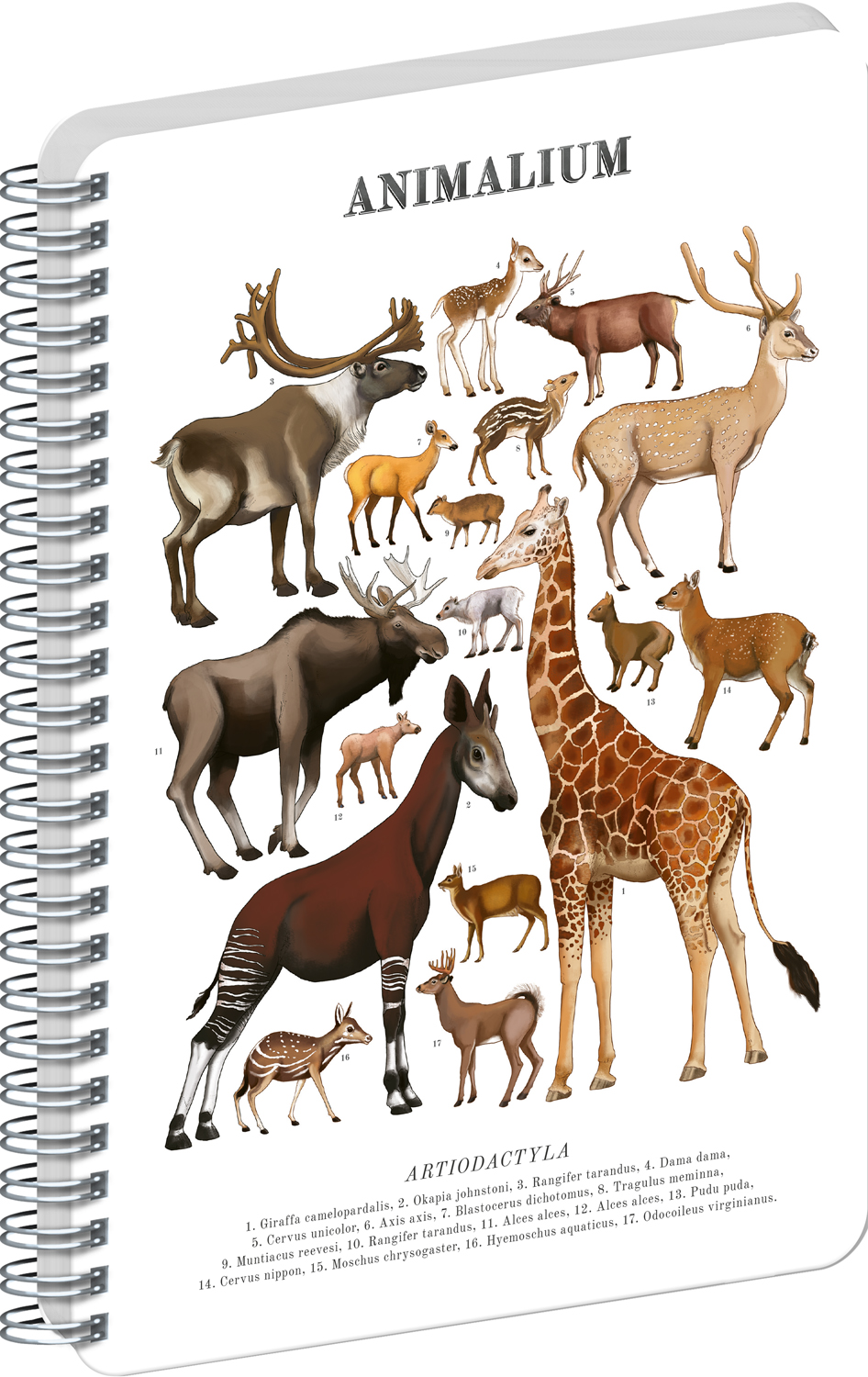 Čistý spirálový blok Animalium – Sudokopytníci, A4