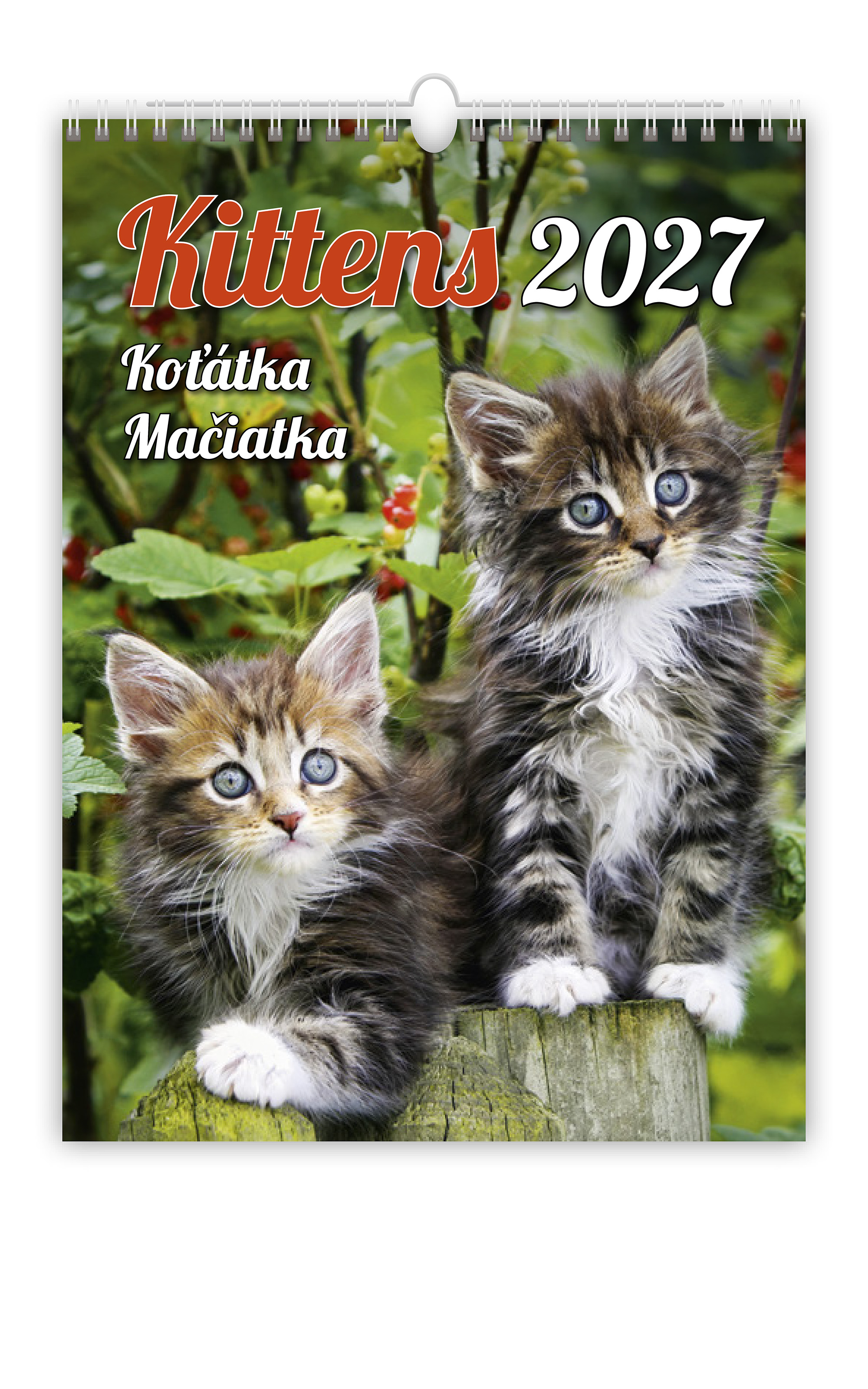 Nástěnný kalendář Koťátka 2027