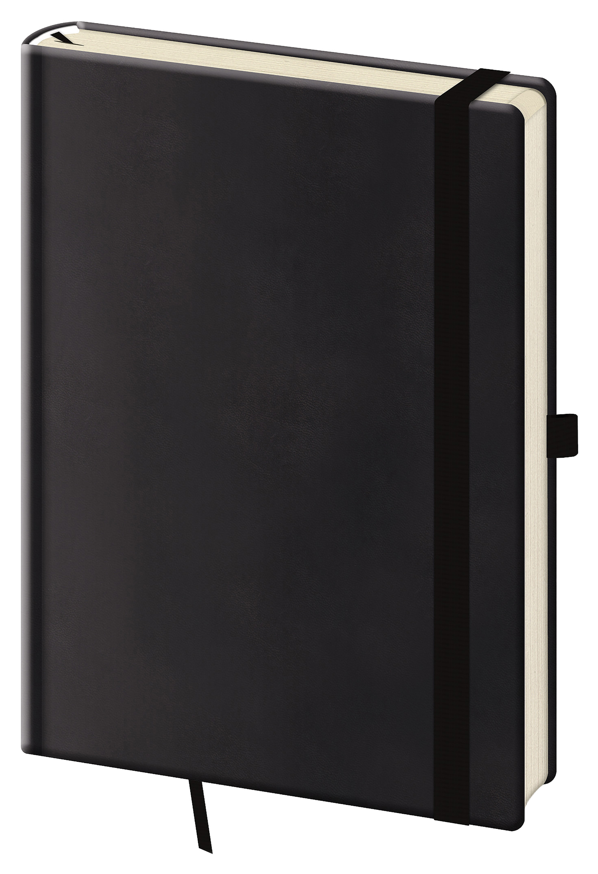 Tečkovaný zápisník Print Plus L - Black