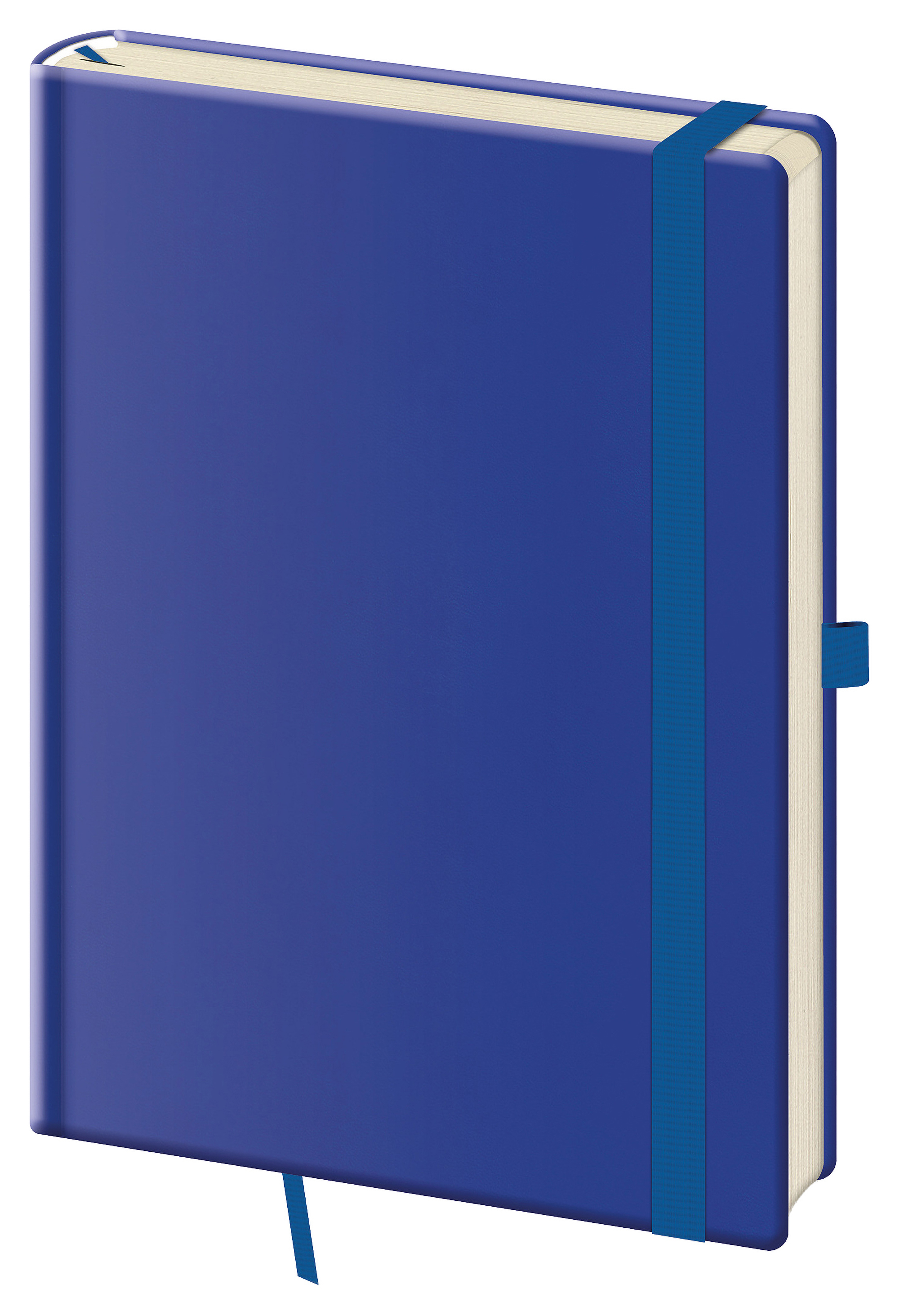 Tečkovaný zápisník Print Plus L - Royal blue