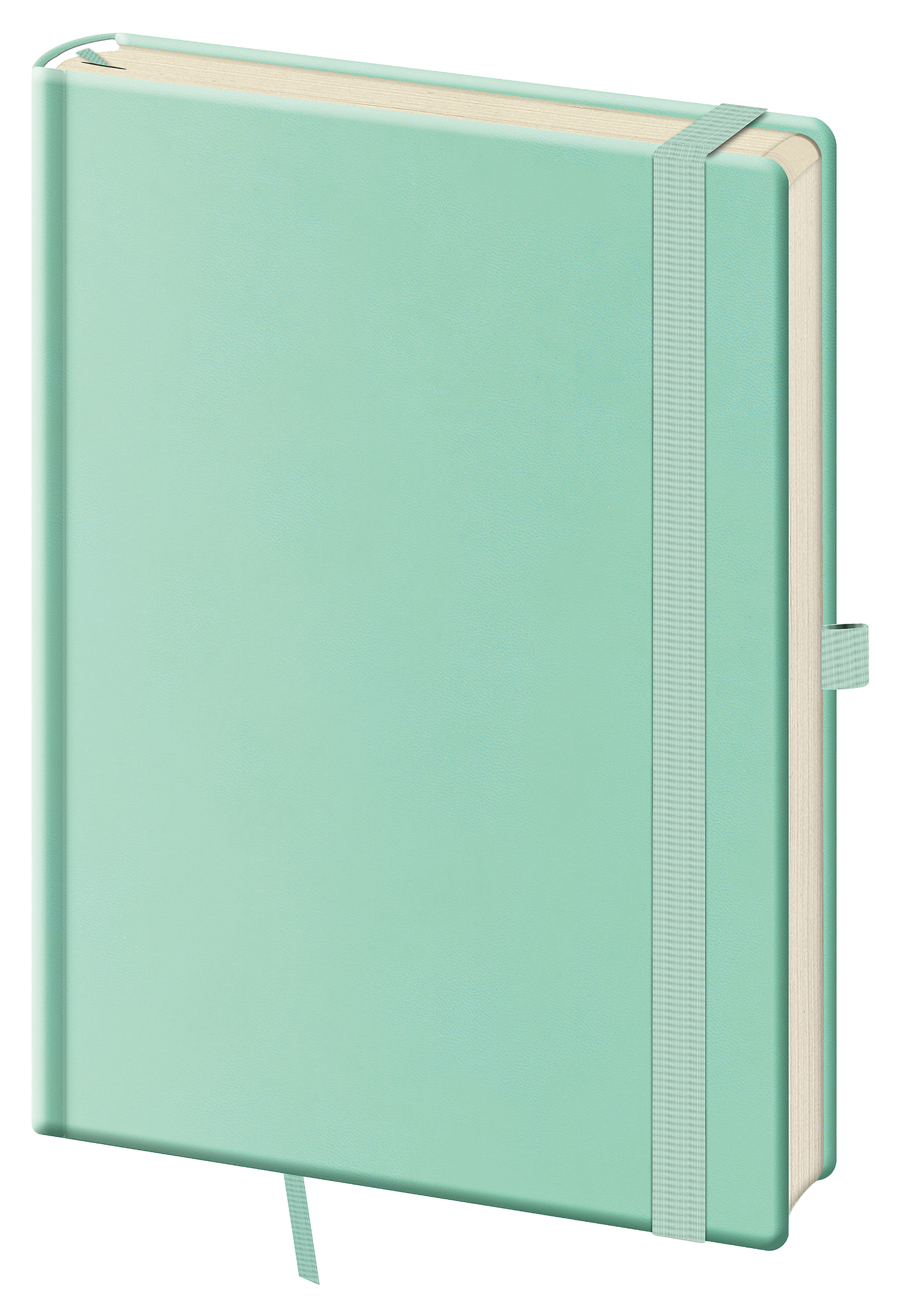 Linkovaný zápisník Print Pop L - Light green