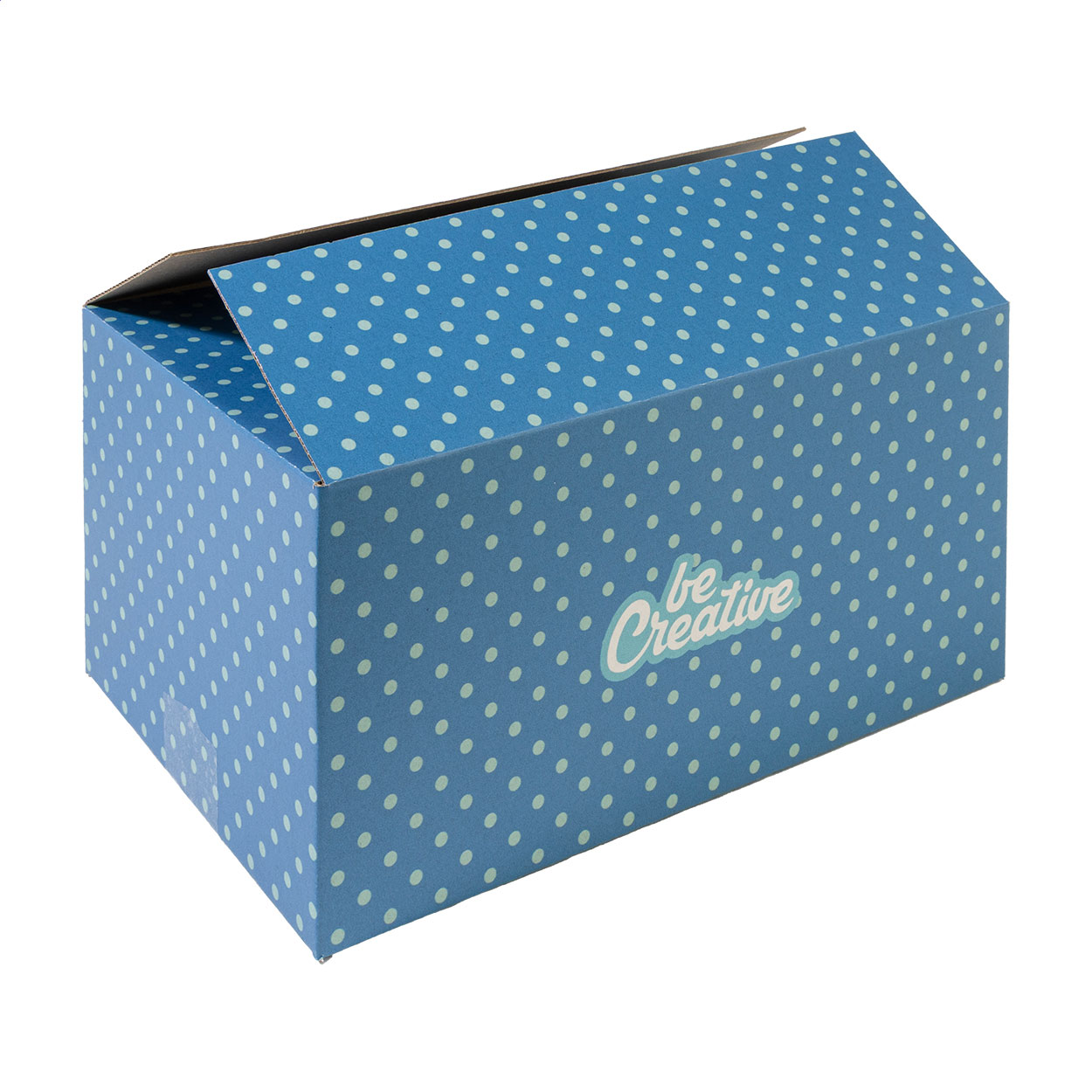 CreaBox Cargo M přepravní krabice Bílá